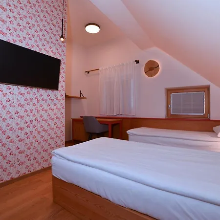 莱斯旅馆 Brežice