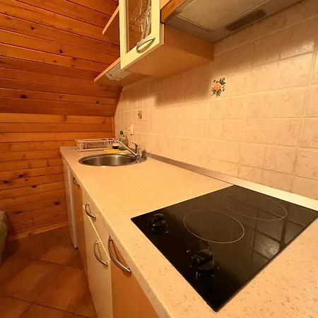 莱斯旅馆 招待所 Brežice